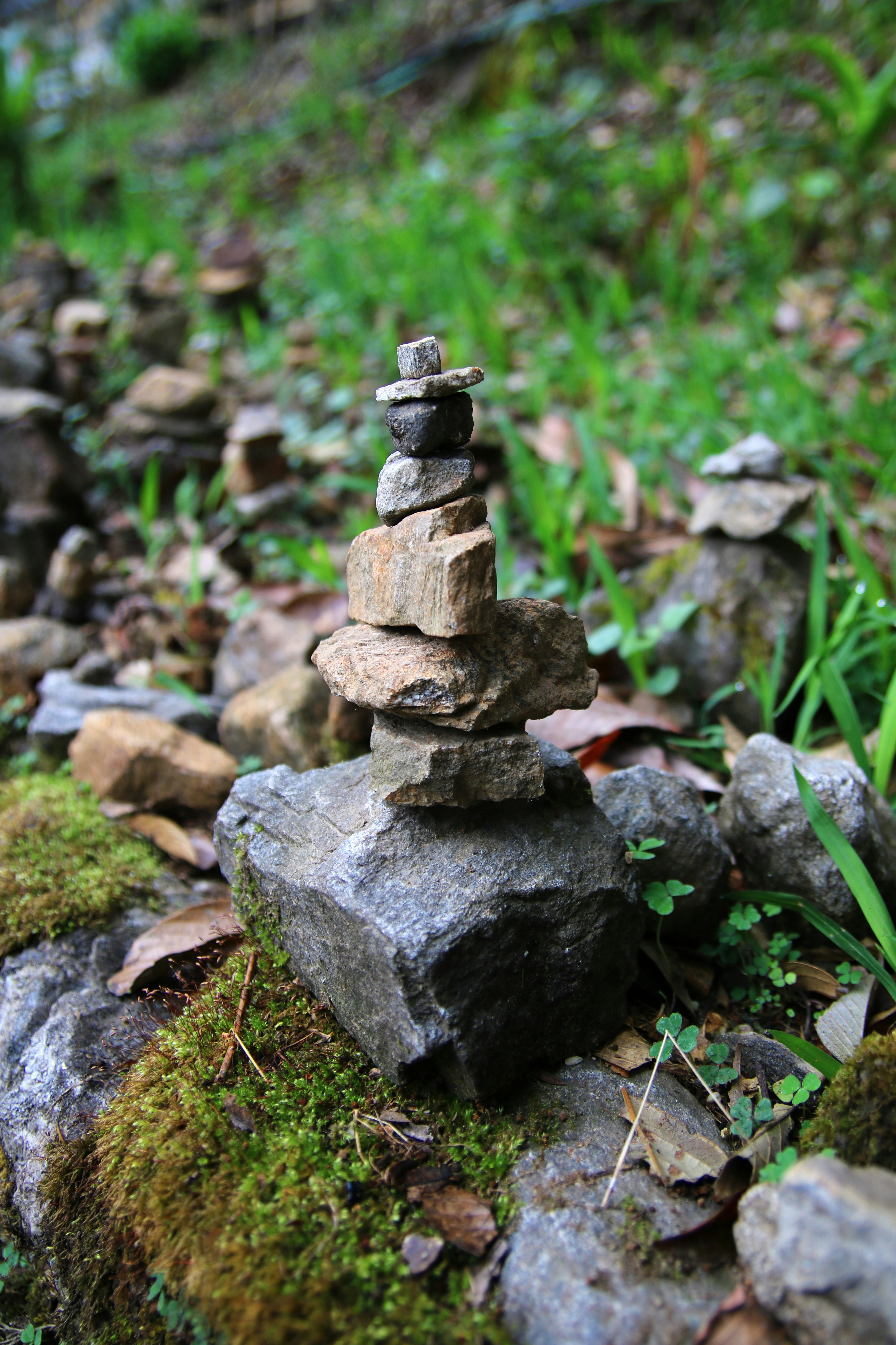 Welcome to My Blog: Why Stability Matters